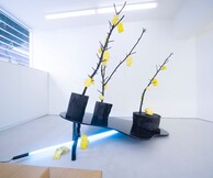 Γιώργος Τσεριώνης, Feats of Agility