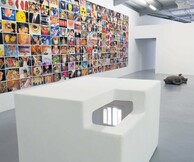 ΕΡΕΥΝΕΣ ΕΝΟΣ ΣΚΥΛΟΥ