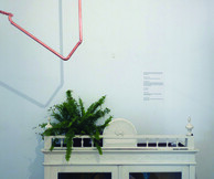  Domestic Survival Tutorials: Session 1