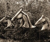 Αλεξάνδρα Αθανασιάδη