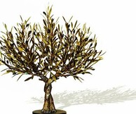 ΑΓΓΕΛΟΣ ΠΑΝΑΓΙΩΤΙΔΗΣ