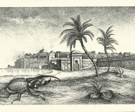 Γιαννακόπουλος - Γκρόζος εκθέτουν στην Elika