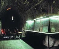 ΤΟ ΕΠΕΚΕΙΝΑ ΣΤΗΝ ΤΕΧΝΗ... ΣΤΗ ΖΩΗ...