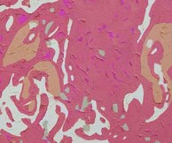 Χαρίκλεια Παπαποστόλου, Όταν το χρώμα φωτίζει & πάλλεται αισιόδοξα