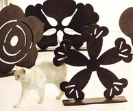 ΚΟΡΝΗΛΙΟΣ ΓΡΑΜΜΕΝΟΣ FLOWERS