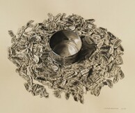 Μαρία Χατζηανδρέου