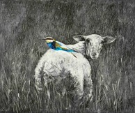 Άννα Αμπαριώτου, Η Σωφρονία, ένα σενάριο, ο Δούρειος αμνός και άλλα συμβάντα