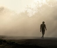Green Project στη Νότια Αμερική, Ένα οδοιπορικό