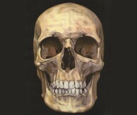 DAMIEN HIRST - NEW RELIGION