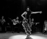 Alma Gitana Flamenco Grupο