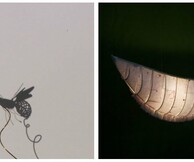 Things: Αrt and the everyday life