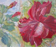 James Foot, Watercolours