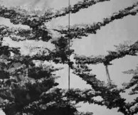 CASPAR BAUM " ASIA"