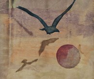 Ίρις Ξυλά Ξαναλάτου, Από τον Kάμπο της Σύρου στη Σαντορίνη