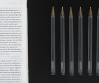 Αντώνης Ντόνεφ, The Cheat