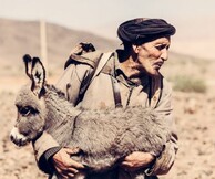 Στο διάβα, Γιορτάζοντας τη νομαδική και μετακινούμενη κτηνοτροφία στη Μεσόγειο