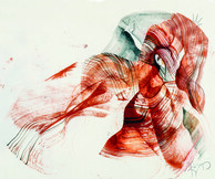 Χριστίνα Κουλουμπή, Ηρακλής. Υπερβατική πορεία