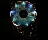 Γιάννης Βογδάνης, Perception