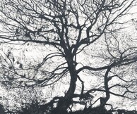 ΑΝΤΙΓΟΝΗ ΚΑΒΒΑΘΑ 