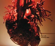 «BODIES»