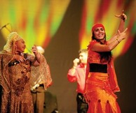 FANFARE CIOCARLIA «KINGS AND QUEENS OF THE GYPSIES»