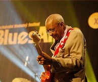 HUBERT SUMLIN feat. BUDDY FLETT and the BLUEBIRDS