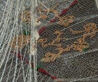 Μαρία Λοϊζίδου, Μεταβίβαση (ATransfer)