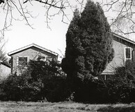 Eve Fowler – Caroline May