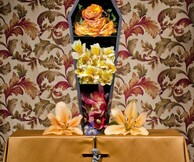 Βραβεία Φωτομετρία 2015, Πίστη