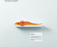 Μουσείο χωρίς Σπίτι / Museum Without A Home