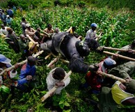 Έκτος Κύκλος του Prix Pictet: Disorder – Αταξία