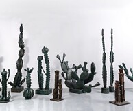 Μέμος Μακρής, Κάκτους