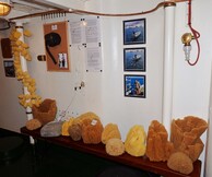 Ναυτοσύνη στο Αιγαίο-Οι Ήρωες των Βυθών