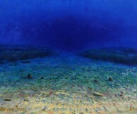 Γιάννης Μανιατάκος, Από τα βάθη της Θάλασσας στην Ομορφιά της Γυναίκας