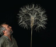  Βαγγέλης Πολύζος, «Τα δυνατά λουλούδια με τον ήλιο μέσα τους»