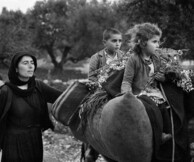  Κωνσταντίνος Μάνος - A Greek portfolio, 50 χρόνια μετά.