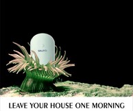 Ζωή Σκλέπα, Leave your house one morning
