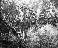 Γιάννης Κονταράτος, ‘Ελλη Κουτσουκέλλη, Κώστας Τσικνής-Τα καλύτερα 2015