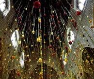 Rebecca Louise Law - Ψηλά, Κήπος