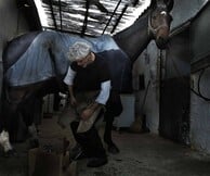 Βασίλης Βρεττός, Mise en abyme 