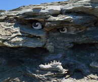 Βeach Creatures, Parisko