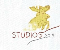 Studios 2015 & project Make today to build tommorow 