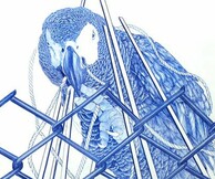 ΔΗΜΗΤΡΗΣ ΤΑΤΑΡΗΣ "LOPLOP"