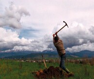 Κώστας Μπασάνος