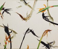  Απόστολος Καραστεργίου, Άσκηση Σχεδίου