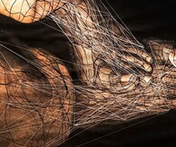 Χρυσή Αμανατιάδου, Mirror Neurons