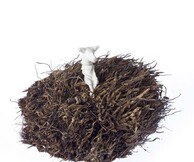 Κυριακή Μαυρογεώργη, Before Dawn