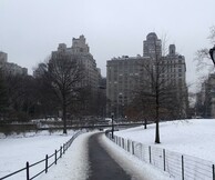 Τατιάνα Τζινιώλη, Νέα Υόρκη: Μία βόλτα στην πόλη