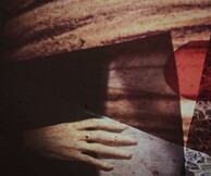 Multiversal; MultiDOM, Multeece