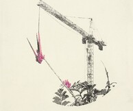 Νίκος Παπαδόπουλος, Flora Filopappou: Ένα ταξίδι από την Πόλη των Βράχων στον κήπο